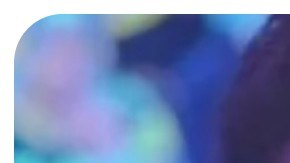 Video de tiroteo a Ruben Ray Martínez por agentes de ICE en Texas