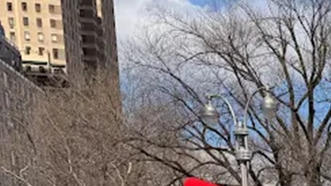 Cientos protestan en Nueva York contra Trump en nueva jornada de “No Kings”