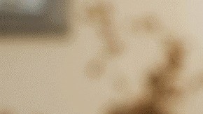 Cuando consumimos alimentos nutritivos y balanceados,
nuestro cuerpo funciona mucho mejor, dicen expertos.