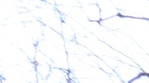 Complejo de vivienda pública de NYCH.