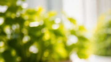 Persona cocinando verduras en una sartén antiadherente sobre una estufa en una cocina luminosa