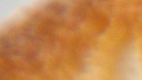 Incluir sardinas en tu dieta diaria es fácil con este paté proteico cremoso. Una receta rápida, económica y llena de nutrientes esenciales.