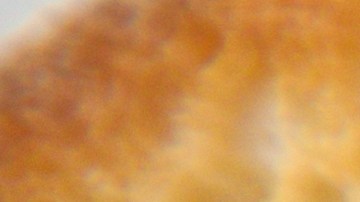 Incluir sardinas en tu dieta diaria es fácil con este paté proteico cremoso. Una receta rápida, económica y llena de nutrientes esenciales.