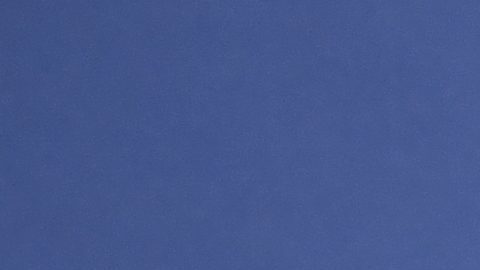 Jake Paul y su regalo de medio millón de dólares a Jutta Leerdam.