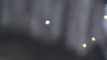 El piloto de Cadillac Sergio Pérez, de México, conduce su monoplaza durante la sesión de clasificación del Gran Premio de Japón de Fórmula 1 en el circuito de Suzuka, en Suzuka, Japón, el sábado 28 de marzo de 2026.