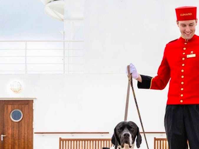 Cruceros que aceptan perros Perros con asistente paseando por el barco