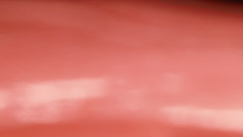 pollo-compra-supermercados