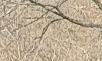 El Movimiento 'No Kings' cobra fuerza en Estados Unidos.