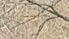 El Movimiento 'No Kings' cobra fuerza en Estados Unidos.