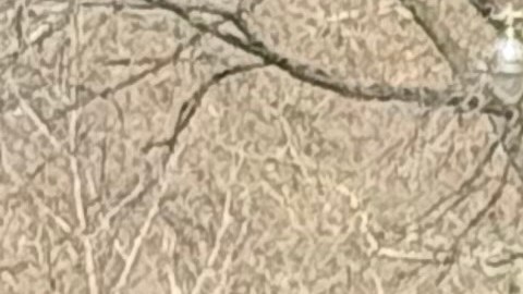 El Movimiento 'No Kings' cobra fuerza en Estados Unidos.