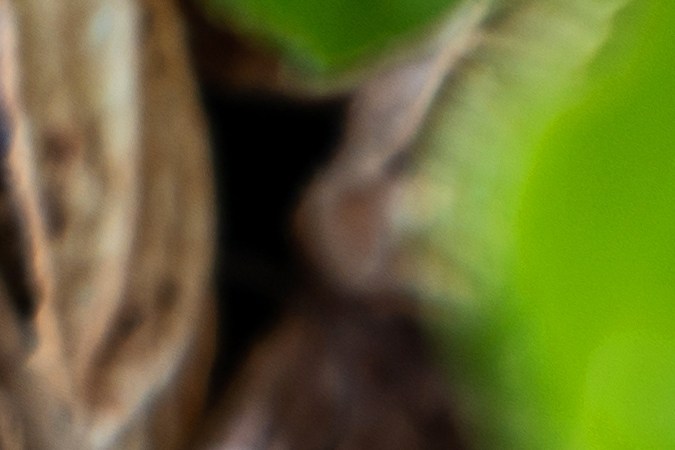 Las conchas de maní pueden añadirse enteras o trituradas en un compostaje, pero si se rompen en pedazos más pequeños, el proceso de descomposición será más rápido y uniforme.