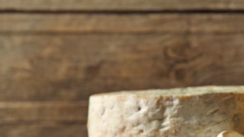 Descubre por qué el Penicillium roqueforti es seguro para el consumo mientras que otros mohos silvestres representan un peligro para la salud.