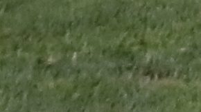 El árbitro mexicano César Ramos atrapado en Qatar.