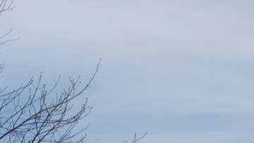 Juez federal ordena suspender construcción del salón de baile de Trump en la Casa Blanca