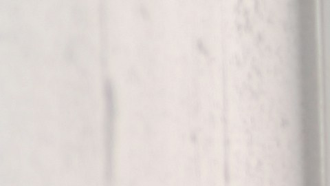 seguro-social-negar-beneficios