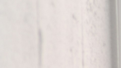 seguro-social-negar-beneficios