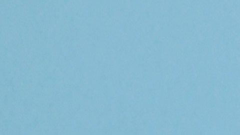 Porque cuando la mente está bien nutrida, el alma también encuentra más espacio para florecer.