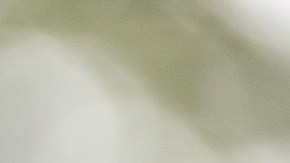 La próxima vez que seas confrontado con algo que hayas hecho mal, antes de refutar preguntate: ¿Traerá paz defender mi posición?