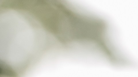 La próxima vez que seas confrontado con algo que hayas hecho mal, antes de refutar preguntate: ¿Traerá paz defender mi posición?
