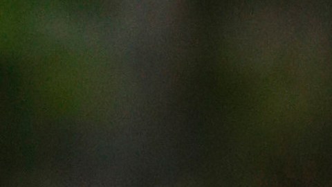 El trofeo de la Copa Mundial de la FIFA.