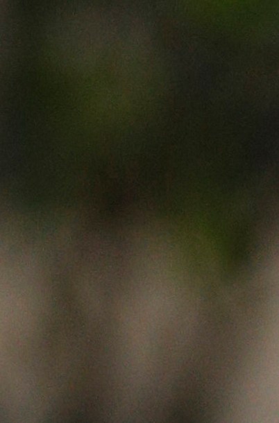 El trofeo de la Copa Mundial de la FIFA.