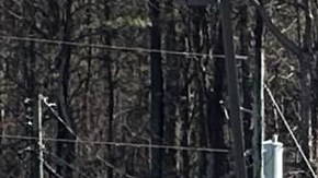 Tiroteo en clínica de veteranos en Georgia deja herido y un sospechoso baleado