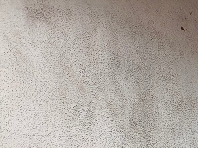 Componentes como el motor, las llantas, el tanque o el sistema de escape de una moto vieja pueden tener demanda entre mecánicos o aficionados.