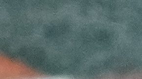 Venezuela celebra ante Japón su pase a semifianles del Clásico Mundial.