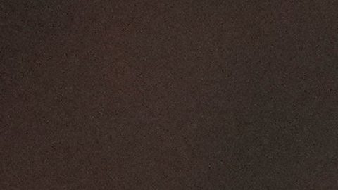 Vitinha durante un partido con el PSG.