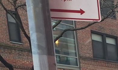 El plan introduce el uso de contenedores fijos en la vía pública, conocidos como Empire Bins.