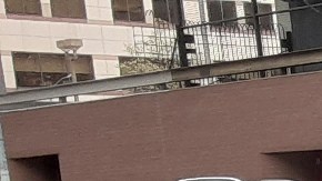 Patrullaje escolar de NYPD.