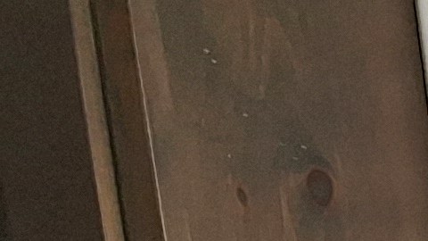 El periodista y promotor artístico Roberto Gerónimo ha sido un cronista de estrellas dominicanas. Esta vez le tocó enfrentar en primera en persona una gran fatalidad.