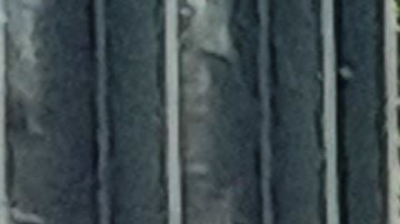 La violencia es parte del paisaje urbano en NYC.