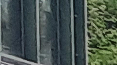 La violencia es parte del paisaje urbano en NYC.