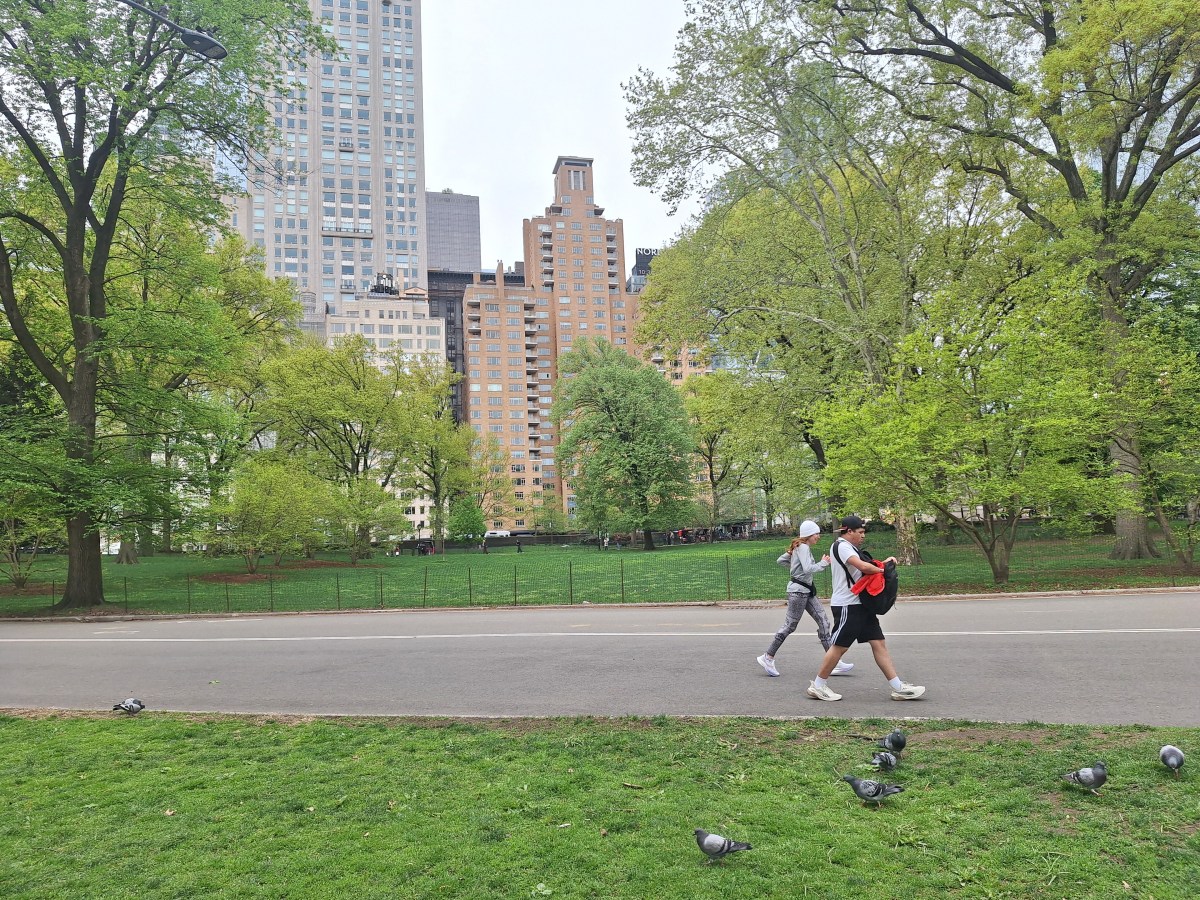 En NYC en medio de la indetenible fiebre de la construcción se legisla para sumar más pulmones vegetales a los barrios más pobres