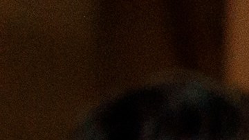 Linda Flor Brito, Senior Manager of Policy and Organizing speaks in support of New York for All in Albany.