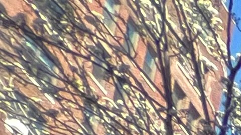 Aunque hay temor de declarar impuestos entre quienes tienen permisos de trabajo expertos advierten que es mejor cumplir y recuerdan que autoridades federales ya tienen sus datos