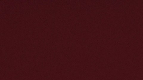 El show tendrá lugar en el escenario del Tulum Nightclub.