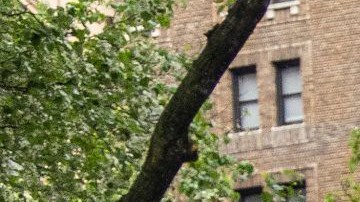 Hay actividades adicionales relacionadas el Día de la Tierra.