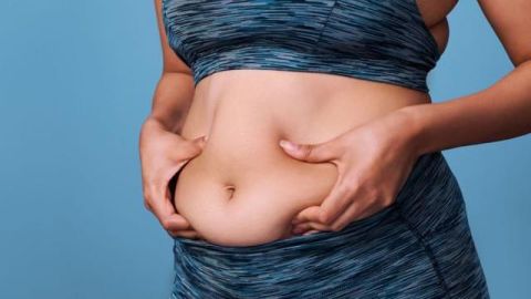 Grasa abdominal