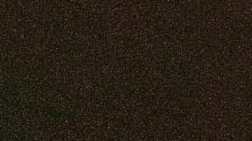 Obra “Leopard 's Dream"