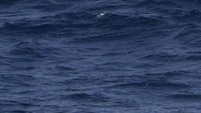 Rescate de migrantes dominicanas en aguas del Paso de la Mona