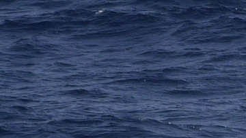 Rescate de migrantes dominicanas en aguas del Paso de la Mona