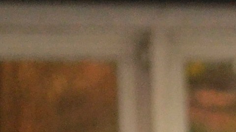 Existe la posibilidad de que la mujer sea deportada a México.