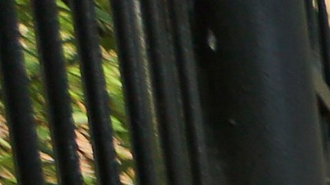 Los neoyorquinos que deseen cumplir con las normas de compostaje pueden llamar al 311 para que su edificio cumpla con la normativa.