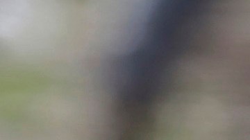 Mujeres en el servicio militar en EE.UU.