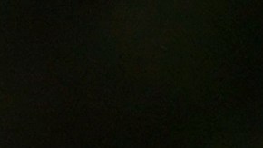 La Hispanic Federation ha impulsado iniciativas para que aumente el número de   latinos que votan.