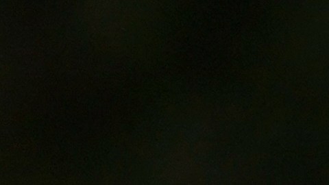 La Hispanic Federation ha impulsado iniciativas para que aumente el número de   latinos que votan.