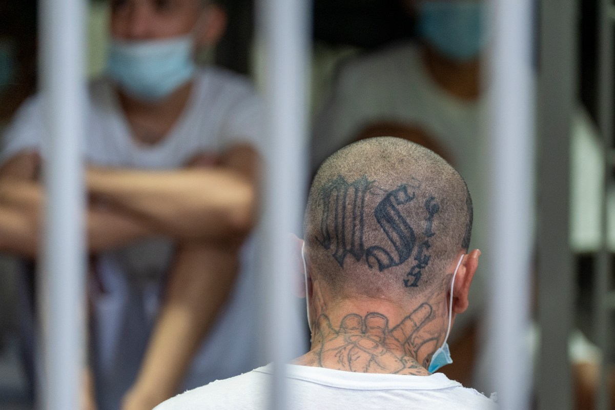 Condenan a décadas de prisión en EE.UU. a ocho miembros de la MS-13