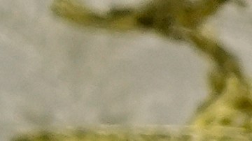 Trump junto a Meloni en la Casa Blanca en 2025.